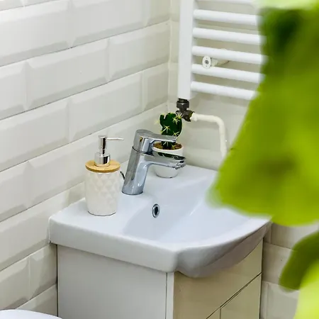 Stay Inn Central Cluj Apartment *