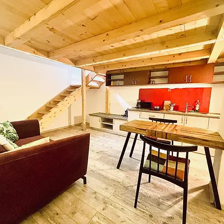 公寓 Stay Inn Central Cluj *